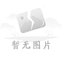 兩會上的半導體聲音